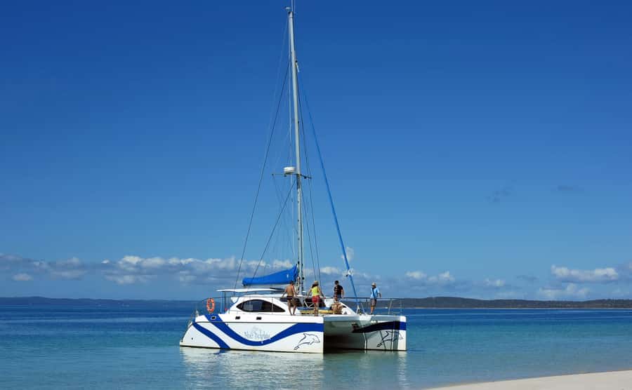 Fraser Island 4-Hour Eco-Sailing Adventure - Searching for dolphins and dugongs