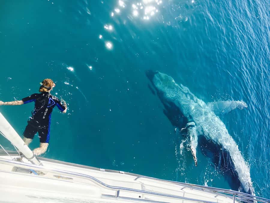 Fraser Island (K'gari): Remote Island and Whale Experience - Leaving Hervey Bay on a 20-meter catamaran