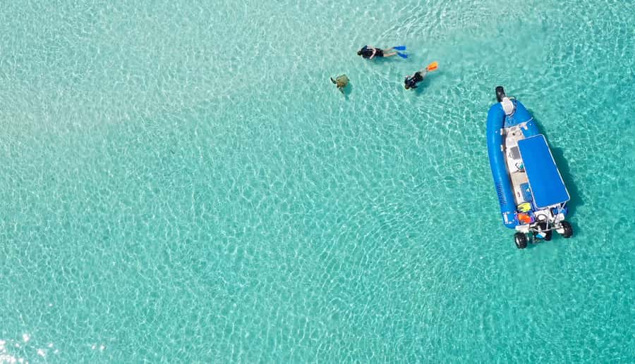 Fraser Island (K'gari): Remote Island and Whale Experience - Wathumba Creek: water time and white sand