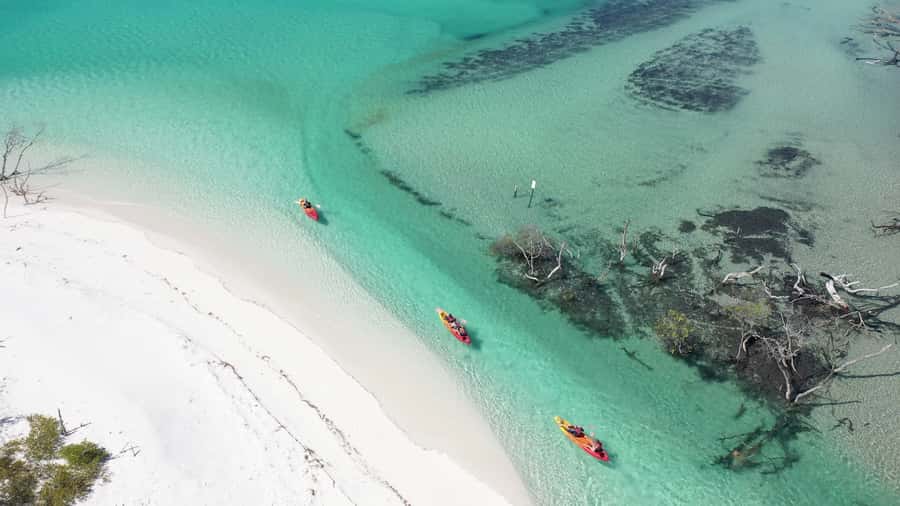 Fraser Island (K'gari): Remote Island and Whale Experience - Lunch, a second creek, and a change of pace