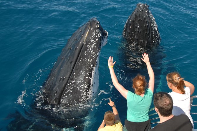 Fraser Island Whale Watch Encounter - Sailing from Hervey Bay toward Platypus Bay