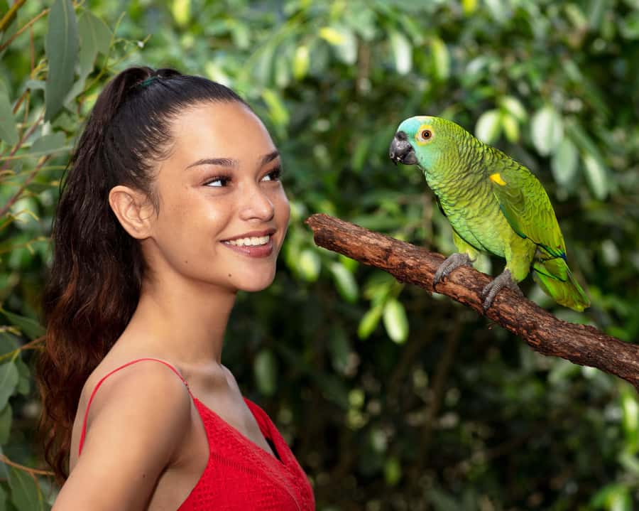Friends in the Rainforest Package: Koala Gardens & Birdworld - What makes the two attractions work together