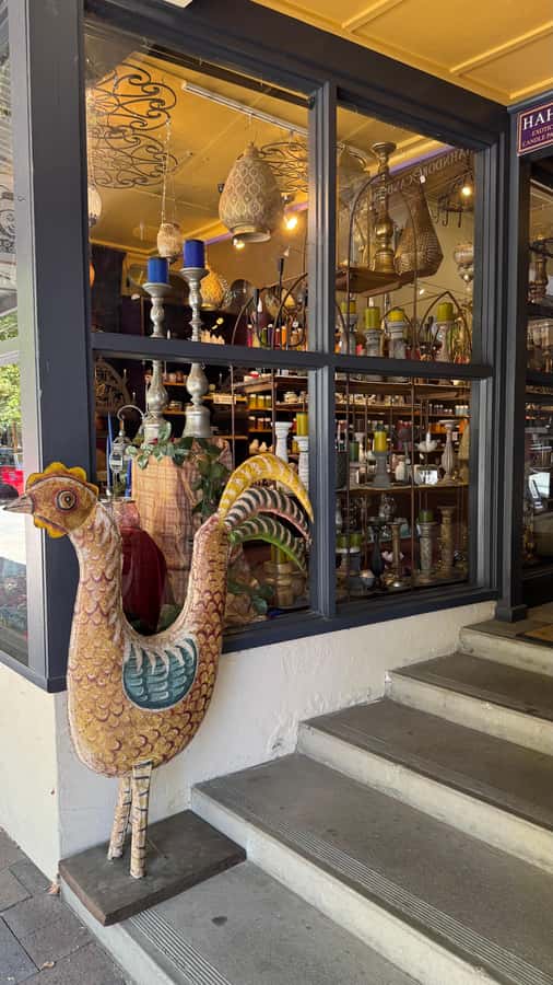 From Adelaide: Hahndorf and Barossa Day Tour with Lunch - Who should book this Hahndorf and Barossa day trip?