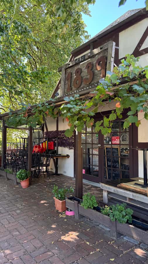 From Adelaide: Hahndorf and Barossa Day Tour with Lunch - Hahndorf in 75 minutes: German character with a modern tourist edge