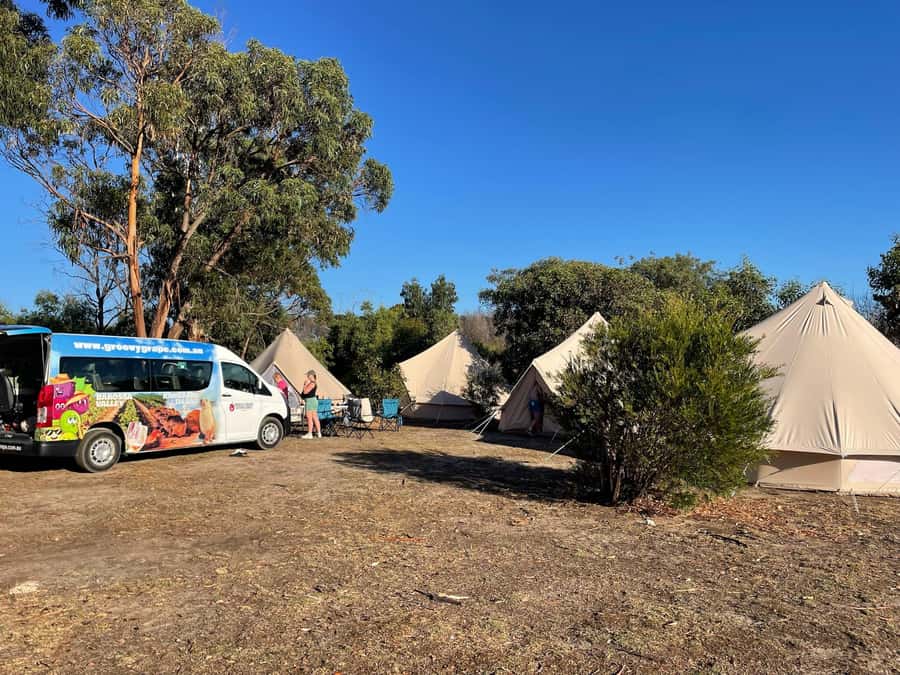 From Adelaide: Kangaroo Island Epic 2-Day Small Group Tour - Bell tents, private upgrades, and what camping really means