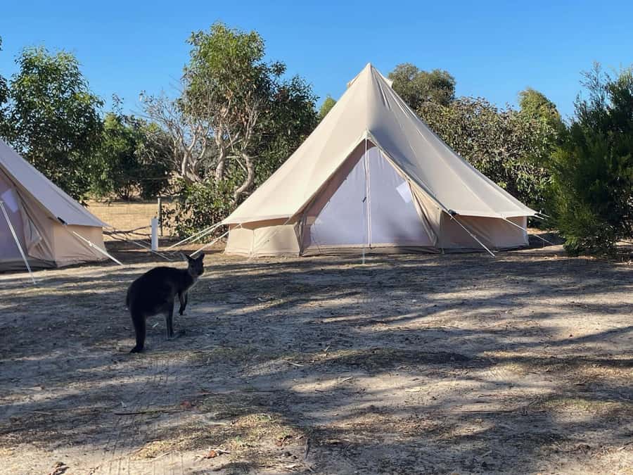 From Adelaide: Kangaroo Island Epic 2-Day Small Group Tour - Prospect Hill and Duck Lagoon: views, koalas, and quiet bush