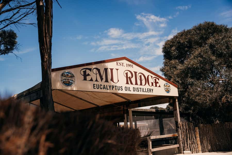 From Adelaide: Kangaroo Island Sip and See Day Trip - Raptor Domain and the Birds of Prey show