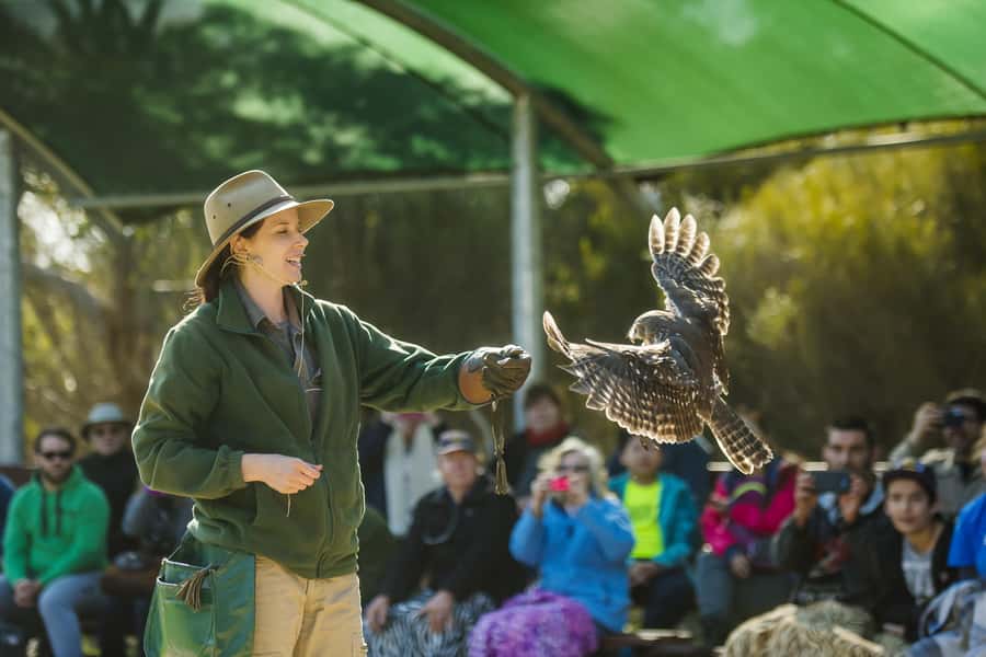From Adelaide: Kangaroo Island Sip and See Day Trip - Penneshaw dinner and the return to Adelaide