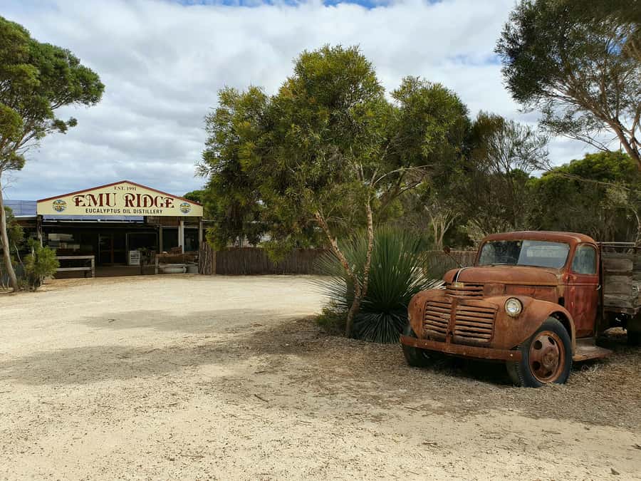 From Adelaide: Kangaroo Island Sip and See Day Trip - The early coach ride to Cape Jervis