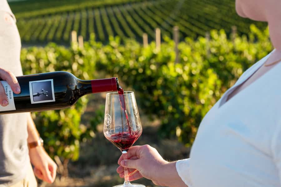 From Adelaide or Barossa: Boutique Barossa Valley Wine Tour - First tastings: traditional names and smaller producers