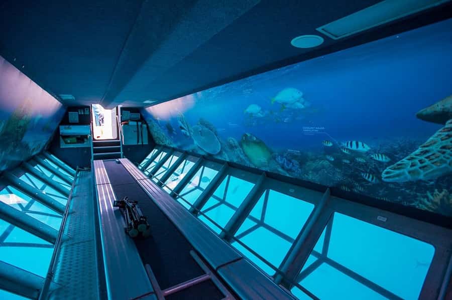 From Airlie Beach: Great Barrier Reef Adventure Cruise - Who will enjoy this Hardy Reef day?