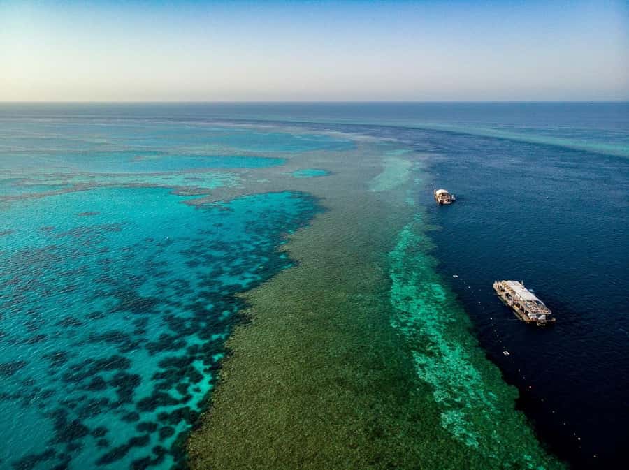 From Airlie Beach: Great Barrier Reef Adventure Cruise - Arriving at Reefworld and Hardy Reef