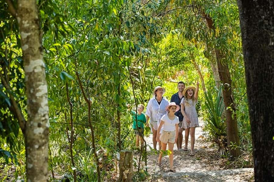 From Airlie: Whitsundays and Whitehaven Half-Day Cruise - Morning tea, afternoon tea, and what to eat