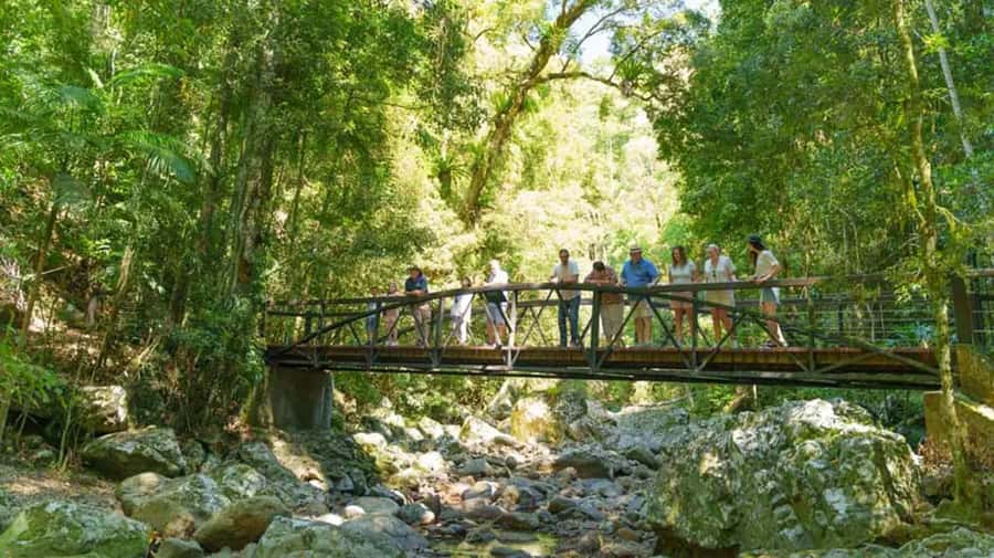 From Brisbane: Gold Coast Day Tour with Lunch - The Spit and the limits of wildlife watching