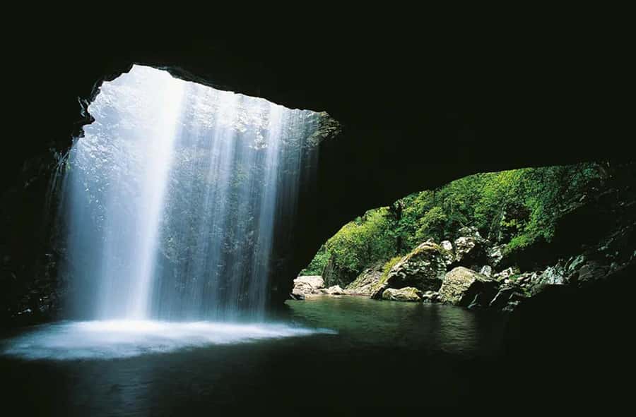 From Brisbane: Gold Coast Day Tour with Lunch - Coombabah Lakelands and wild Australian animals