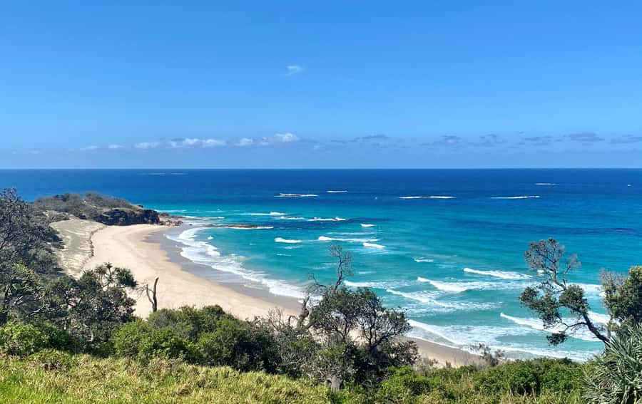 From Brisbane: North Stradbroke Island Wildlife Adventure - Why this island makes a strong day trip