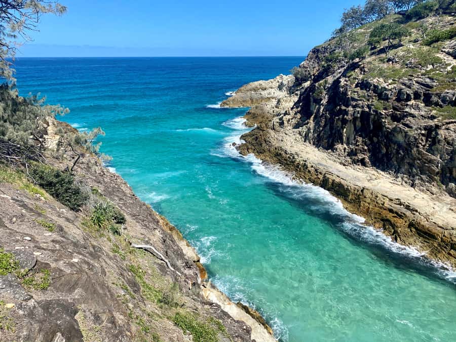 From Brisbane: North Stradbroke Island Wildlife Adventure - Brown Lake, an unusual freshwater stop