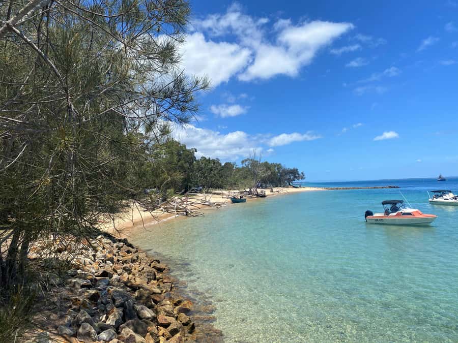 From Brisbane: North Stradbroke Island Wildlife Adventure - Cylinder Beach gives you room to breathe