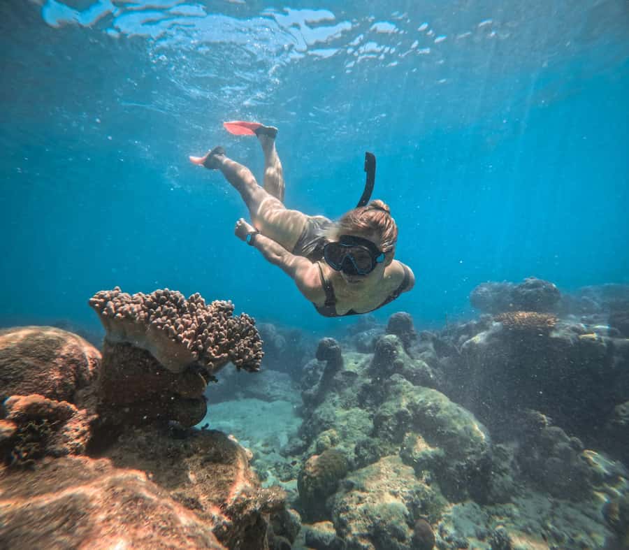 From Cairns: 2 Islands 1 day - Fitzroy & Green Islands - Fitzroy Island: rainforest, reef, and open time