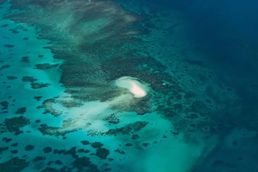 From Cairns: 40-Min Scenic Reef Window Seat Airplane Flight - Pilot commentary adds more than background noise