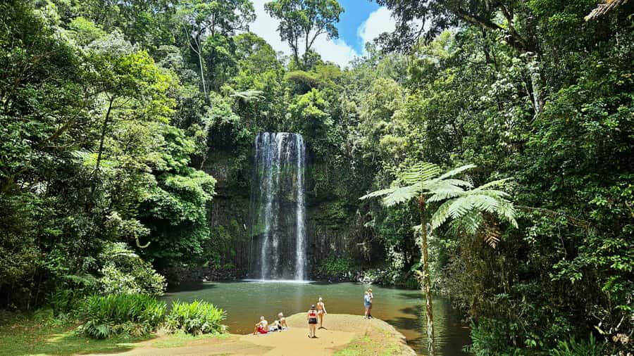 From Cairns: Atherton Tablelands and Paronella Park Day Trip - Yungaburra, the Curtain Fig Tree, and rainforest wildlife