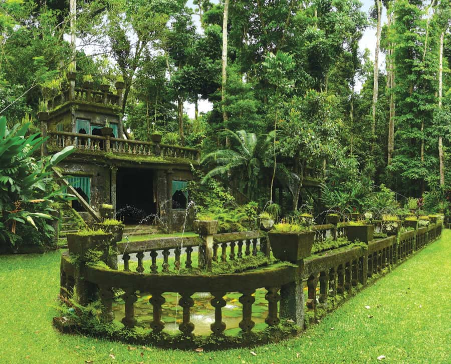 From Cairns: Atherton Tablelands and Paronella Park Day Trip - Malanda and the road to Millaa Millaa Falls