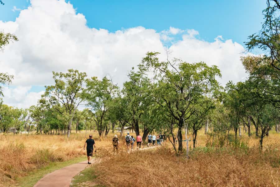 From Cairns: Chillagoe Caves and Outback Full-Day Tour - Key points before you book