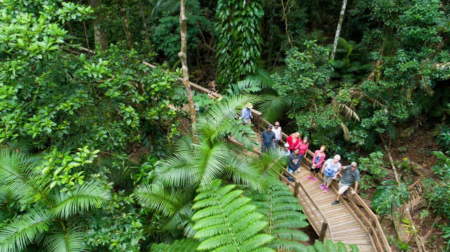 From Cairns: Daintree Rainforest & Cape Tribulation 4WD Tour - A quiet hour on the Daintree River
