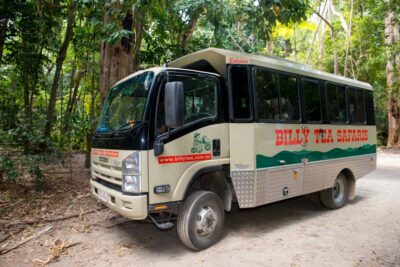 Daintree Rainforest & Cape Tribulation 4WD Tour