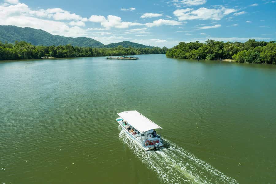 From Cairns: Daintree Rainforest & Cape Tribulation 4WD Tour - Walking beneath ancient palms