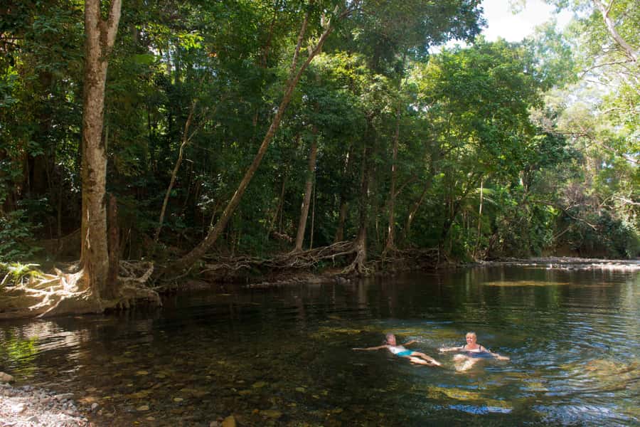 From Cairns: Daintree Rainforest & Cape Tribulation 4WD Tour - Lunch, then a freshwater swim