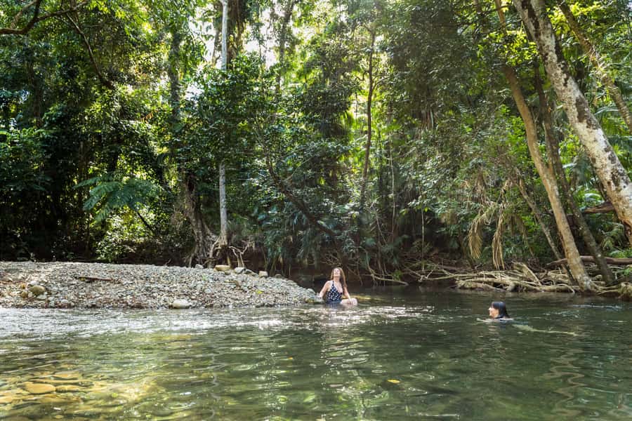 From Cairns: Daintree Rainforest & Cape Tribulation 4WD Tour - The Daintree Ice Cream Company stop