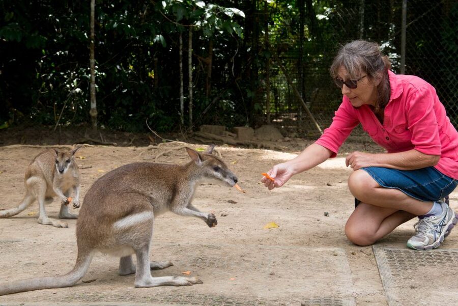 From Cairns: Daintree Rainforest & Cape Tribulation 4WD Tour - The ferry crossing and return to Cairns