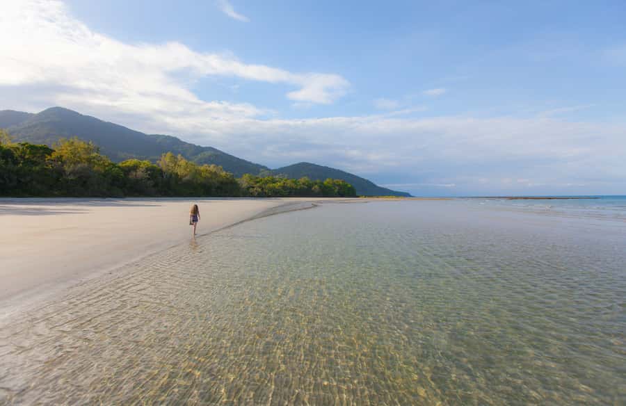 From Cairns: Daintree Wilderness & Cape Tribulation Bus Tour - Why this full-day Daintree tour works