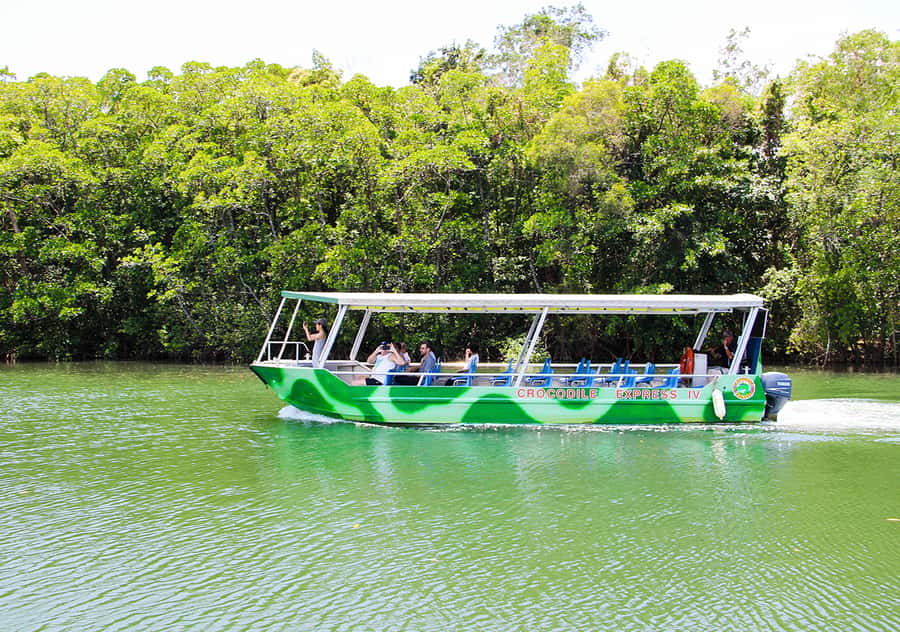 From Cairns: Daintree Wilderness & Cape Tribulation Bus Tour - Wildlife Habitat starts the day with variety
