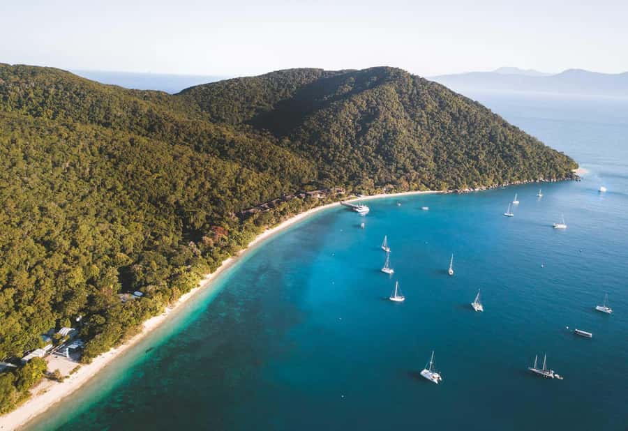 From Cairns: Fitzroy Island Day Trip by Ferry - The 8:00 AM Fitzroy Flyer departure