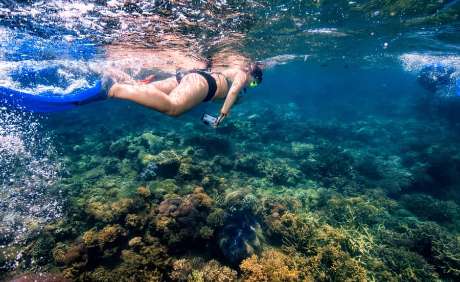 From Cairns: Frankland Island All-Inclusive Day Tour - Arriving on Normanby Island