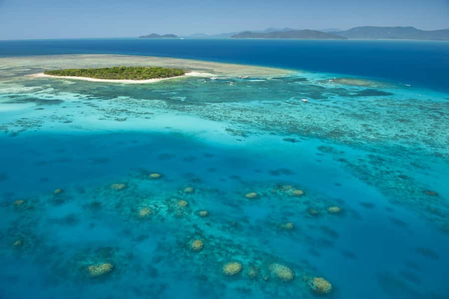 From Cairns: Full-Day Green Island Cruise - Green Island Cruise: Key Points