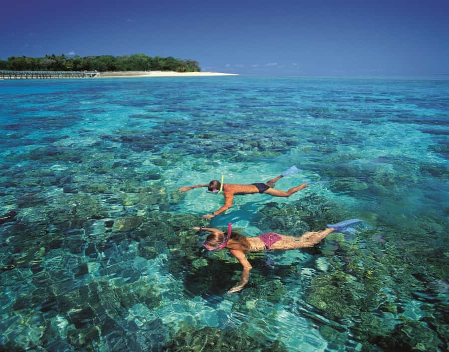 From Cairns: Full-Day Green Island Cruise - Arriving at Green Island National Park
