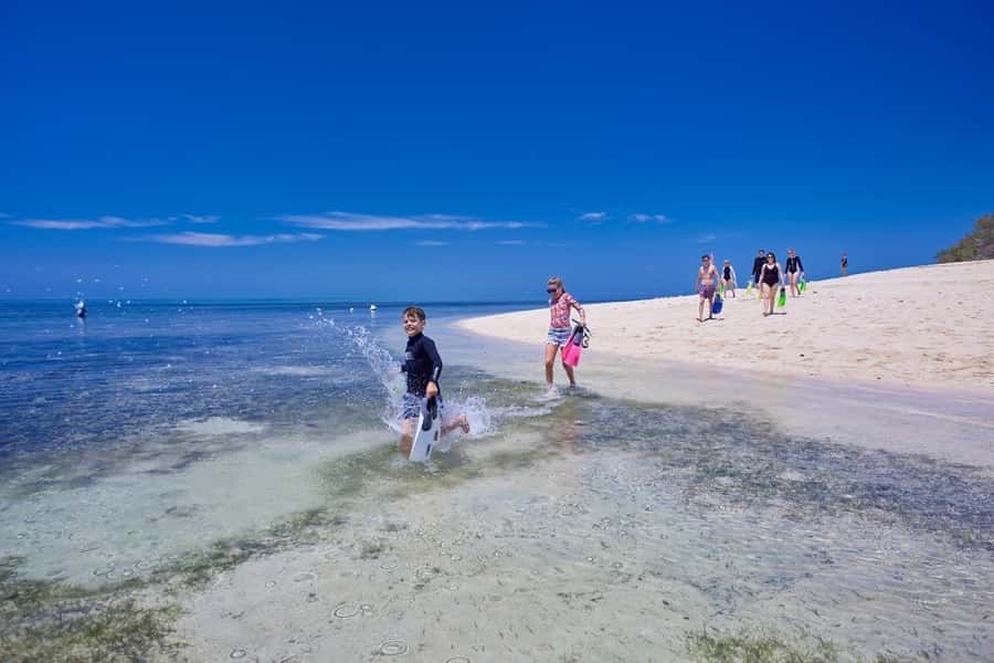 From Cairns: Full-Day Green Island Cruise - Buffet Lunch and Island Facilities