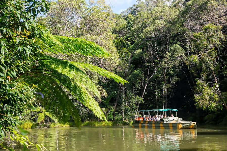 From Cairns: Full-Day Kuranda Army Duck Experience Tour - Key points to know before booking