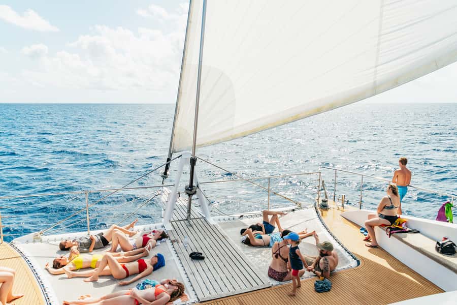 From Cairns: Great Barrier Reef Cruise by Premium Catamaran - Key points before you book
