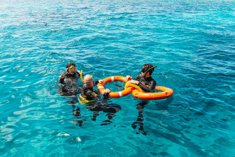 From Cairns: Great Barrier Reef Cruise by Premium Catamaran - Meeting the boat at Cairns Reef Fleet Terminal