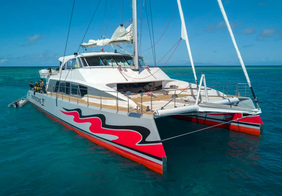 From Cairns: Great Barrier Reef Cruise by Premium Catamaran - First reef stop: two hours in the water