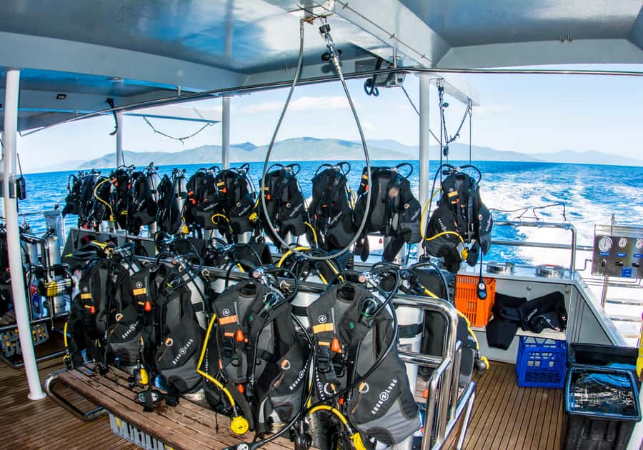 From Cairns: Great Barrier Reef Cruise by Premium Catamaran - Second reef stop: more time to explore