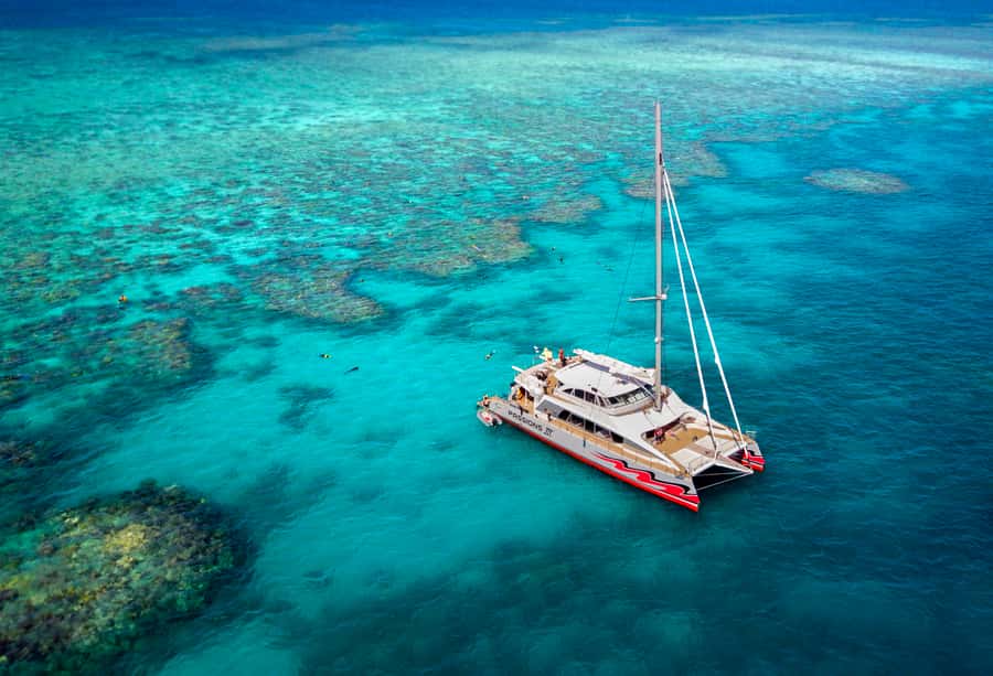 From Cairns: Great Barrier Reef Cruise by Premium Catamaran - The two-hour ride to the outer reef