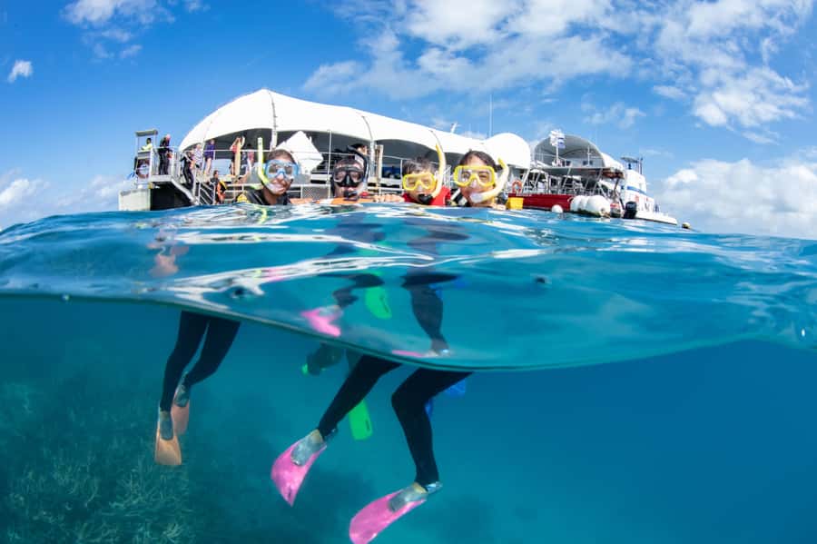 From Cairns: Great Barrier Reef Pontoon Experience - Leaving Cairns on the Air-Conditioned Catamaran