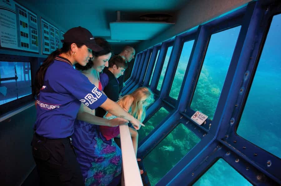 From Cairns: Great Barrier Reef Pontoon Experience - Seeing the Reef Without Getting Wet