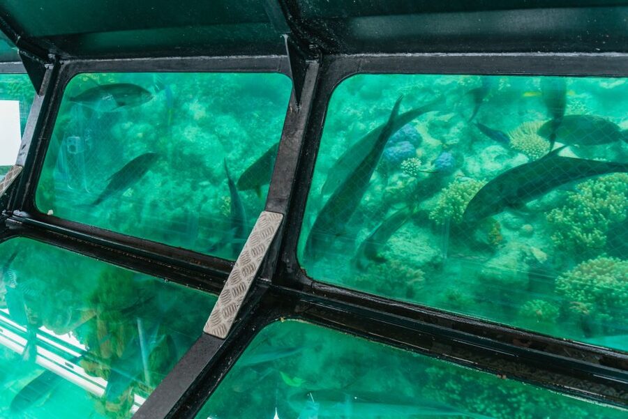 From Cairns: Green Island Full-Day Cruise - Seeing the reef from a glass-bottom boat