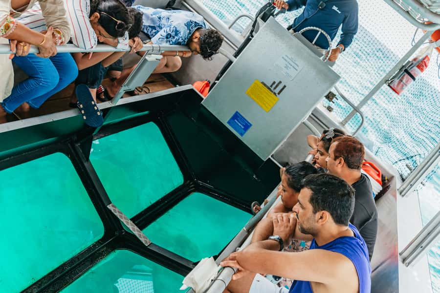 From Cairns: Green Island Full-Day Cruise - Lunch, timing, and what the $77 price really buys